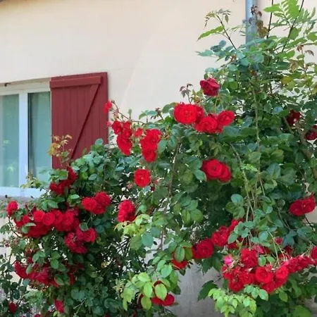Chambres D'hotes Les Roches Noires Bed & Breakfast 2*